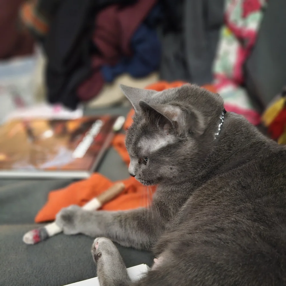 100% wool felt smoke cat toy - Picture 6 of 6